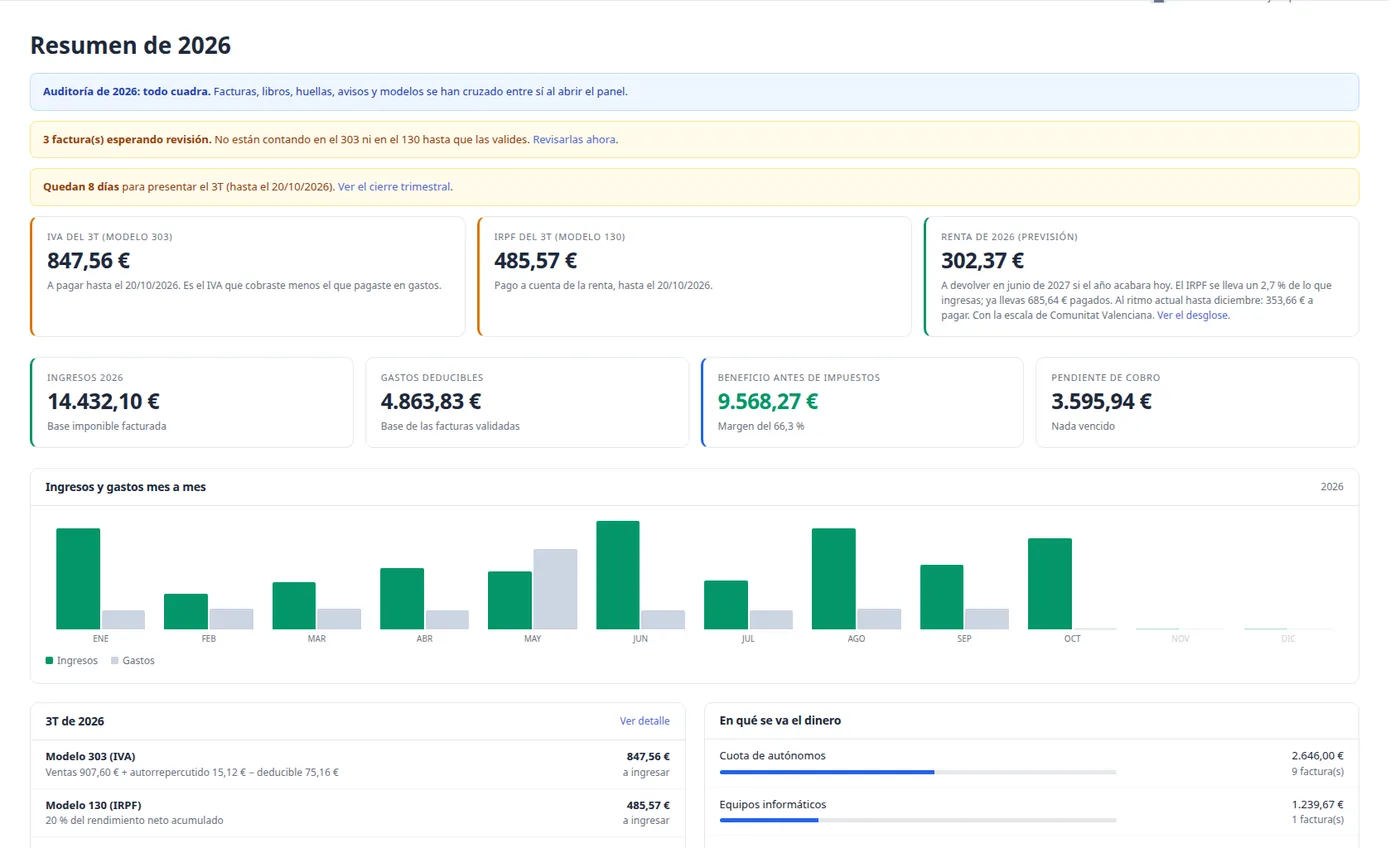 Resumen del año de un cliente: IVA a pagar, pago a cuenta y renta prevista, ingresos y gastos mes a mes.
